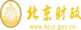 日笔的网站北京市财政局